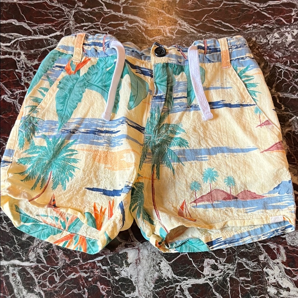 Island Escape Men's Tropical Shorts